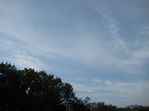 IMG_081104.jpg