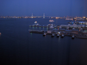 IMG_1171.jpg