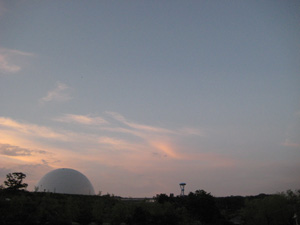 IMG_1187.jpg
