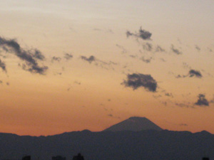IMG_1221.jpg