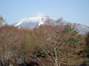 IMG_1254.jpg
