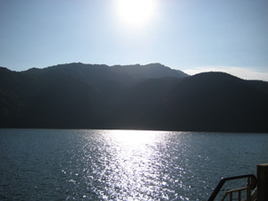 IMG_1272.jpg