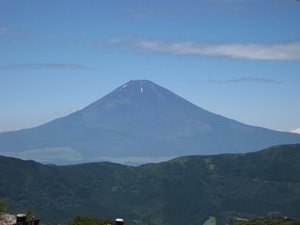 IMG_1291.jpg